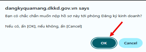 Hình 10 — Xác nhận thông tin trước khi nộp hồ sơ